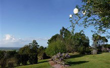 Yellow Dog Cottage - - Accommodation Mt Buller 3