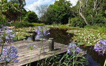 Yellow Dog Cottage - - Accommodation Mt Buller 4