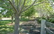 Yellow Dog Cottage - - thumb 6