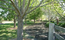 Yellow Dog Cottage - - Accommodation Mt Buller 6