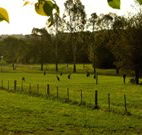 Stone Cottage Mittagong - Accommodation Mt Buller