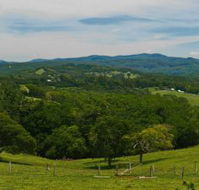 Nightcap Cottage - Accommodation Mt Buller