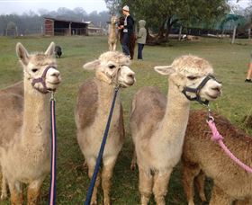 Bunyip Springs Farmstay - Accommodation Mt Buller 1