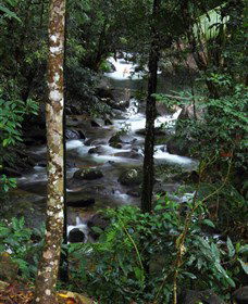 Daintree Secrets Waterfall Sanctuary - Accommodation Mt Buller 1