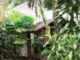 Heritage Lodge And Spa - In The Daintree - Accommodation Mt Buller 0