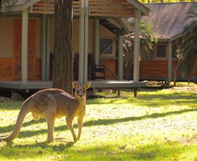 Carnarvon Gorge Wilderness Lodge - Accommodation Mt Buller 3