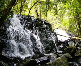 Bellthorpe Stays - Nature's Retreat - Accommodation Mt Buller 1