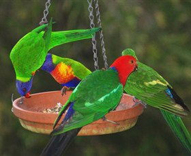 Bellthorpe Stays - Nature's Retreat - Accommodation Mt Buller 3