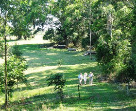 Bellthorpe Stays - Nature's Retreat - Accommodation Mt Buller 2