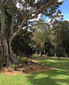 Beechmont Retreat - Accommodation Mt Buller 0