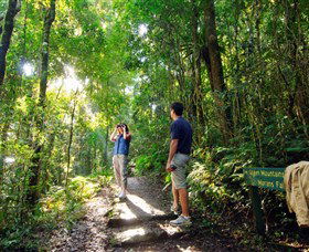 O'Reilly's Rainforest Retreat - Accommodation Mt Buller 2