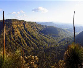 O'Reilly's Rainforest Retreat - Accommodation Mt Buller 3