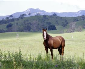 Marchioness Farmstay - Accommodation Mt Buller 1