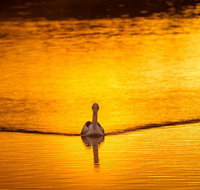 River Shack Rentals - Living the Dream - Accommodation Mt Buller