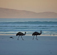 Thomas River Shire Reserve Camp at Cape Arid National Park - Accommodation Mt Buller