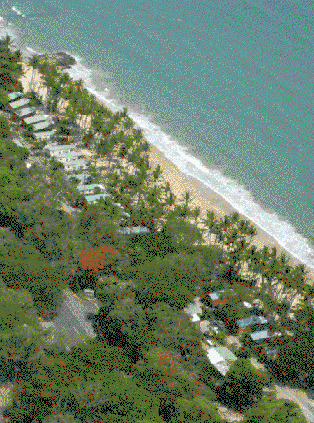 Ellis Beach Oceanfront Bungalows - Accommodation Mt Buller 4