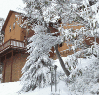 Corio Ski Club - Accommodation Mt Buller