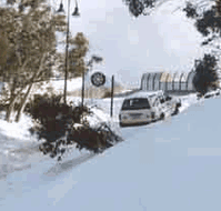 Mansfield Ski Lodge - Accommodation Mt Buller