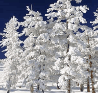 Mt Buller Apartment Management Services - Accommodation Mt Buller