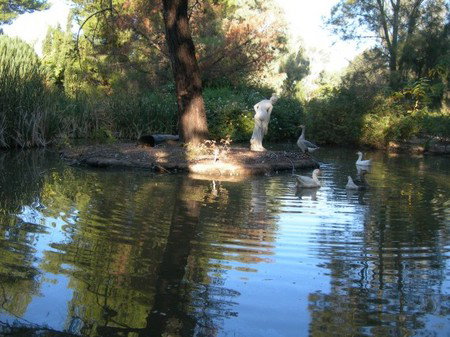 Lyndoch Hill Retreat - Accommodation Mt Buller 2