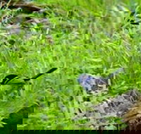 Morialta Bed And Breakfast - Accommodation Mt Buller