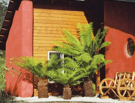 Whispering Spirit Cottage & Miniature Pony Stud - Accommodation Mt Buller 0