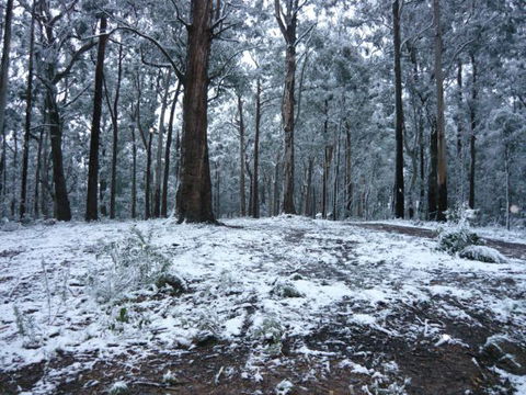 High Peaks Cottages - Accommodation Mt Buller 0