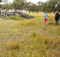 Carnarvon National Park camping - Accommodation Mt Buller