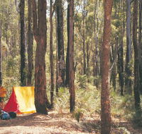 Nanga Mill Camp at Lane Poole Reserve - Accommodation Mt Buller