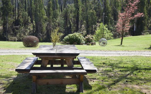 Saladin Lodge - Accommodation Mt Buller 8