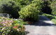 Brown's House Bed & Breakfast - thumb 3