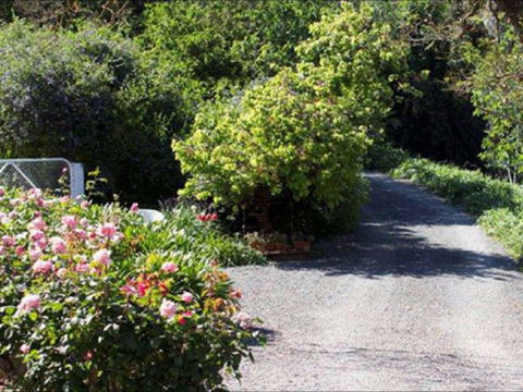 Brown's House Bed & Breakfast - Accommodation Mt Buller 3