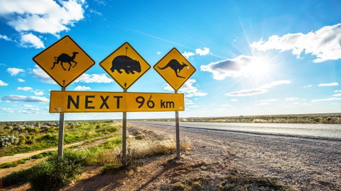 Nullarbor Roadhouse - Accommodation Mt buller 2