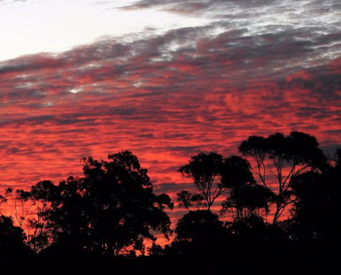 'The Dales' Boutique Bed And Breakfast - Accommodation Mt Buller 8