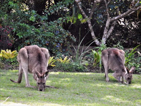 'The Dales' Boutique Bed And Breakfast - Accommodation Mt Buller 9