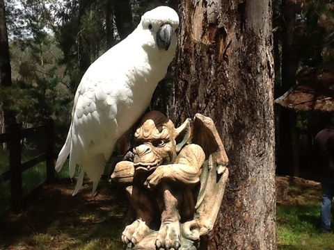 Beechworth Wildlife Stays - Accommodation Mt Buller 9