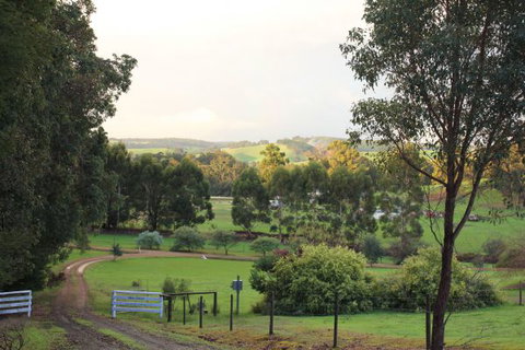 Blue House Bed And Breakfast - Accommodation Mt buller 1