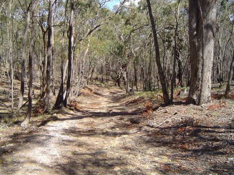 Bushmans Lookout - Accommodation Mt Buller 3