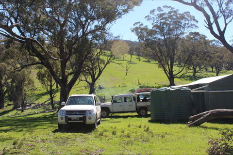 Catninga Mountain Camp Hut - Accommodation Mt Buller 8