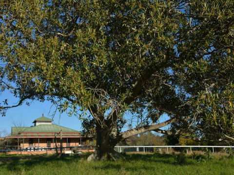 Cairnsmore Bed And Breakfast - Accommodation Mt Buller 7