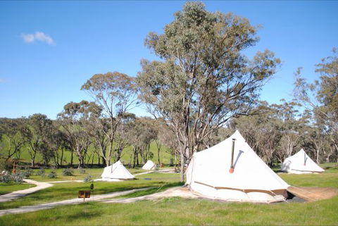 Cosy Tents - Accommodation Mt Buller 5