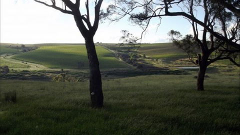 Dragonfly Cottages - Accommodation Mt Buller 2