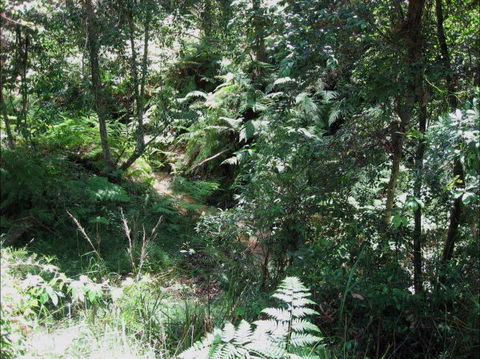 Dunns Creek Downs Nature Stay - Accommodation Mt Buller 2