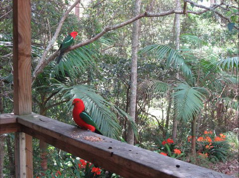 Dunns Creek Downs Nature Stay - Accommodation Mt Buller 4