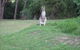 Dunns Creek Downs Nature Stay - thumb 6