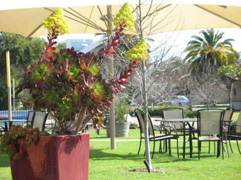 Golden Chain Wine Village Motor Inn - Accommodation Mt Buller 3