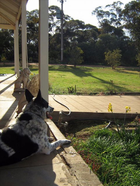Great Grandpa Henry Retreat - Accommodation Mt Buller 4