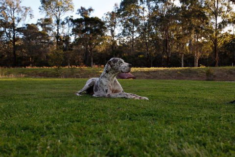 Hunter Valley Retreat - Accommodation Mt Buller 0