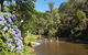 Jamieson Caravan Park - thumb 0