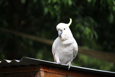 Jamieson Caravan Park - Accommodation Mt Buller 2